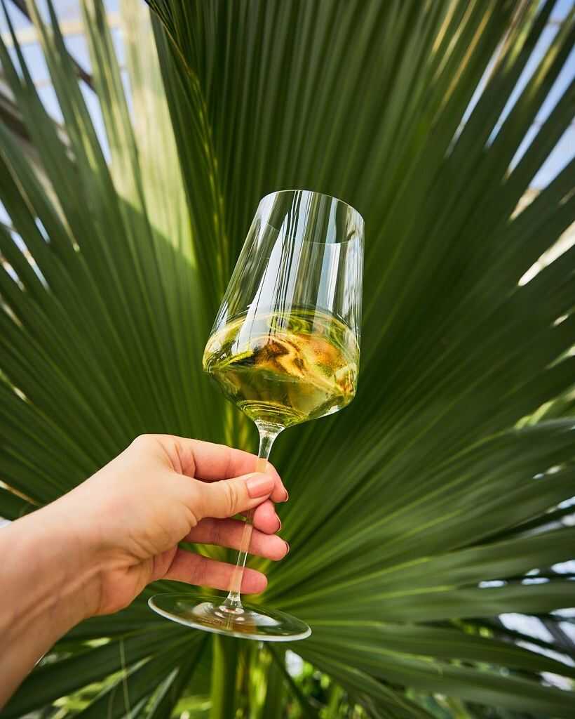 Zalto Spittoon 50, Zalto Spittoon 50 green, Zalto, Zaltify, Zalto Denk&#39;art, Spit bucket